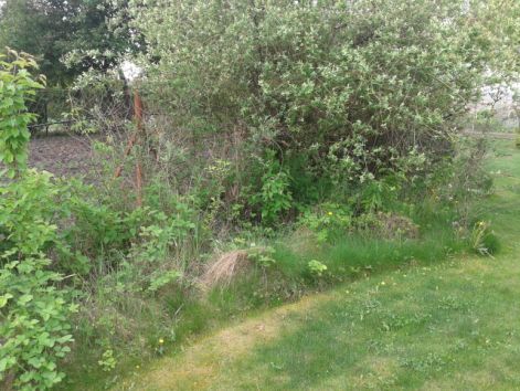 20130502_092732.jpg