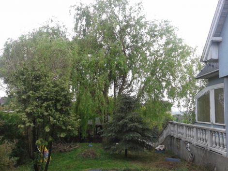 20130506_164038.jpg