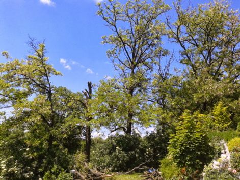 20130521_110622.jpg