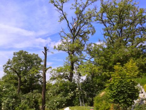 20130523_102720.jpg