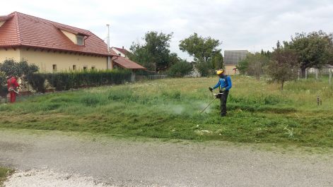 20160920_101454.jpg