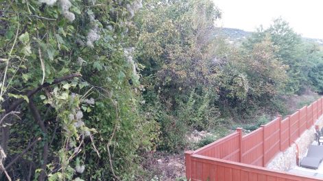 20160921_172416.jpg