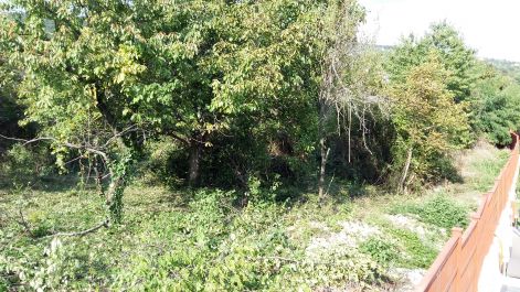 20160922_151700.jpg