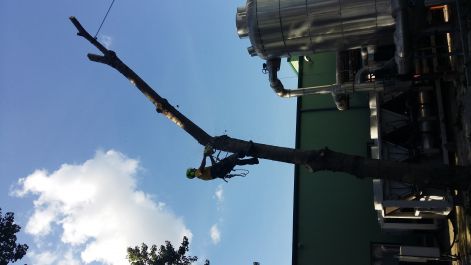 20160927_143003.jpg
