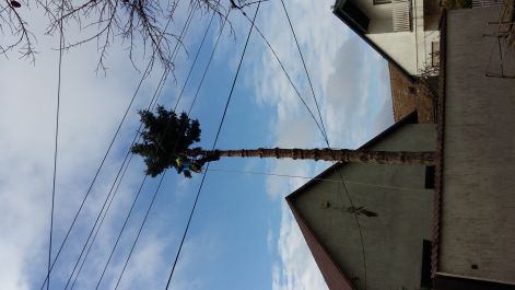 20161107_101541.jpg