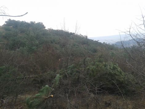 20170209_143418.jpg 20170209_143418.jpg