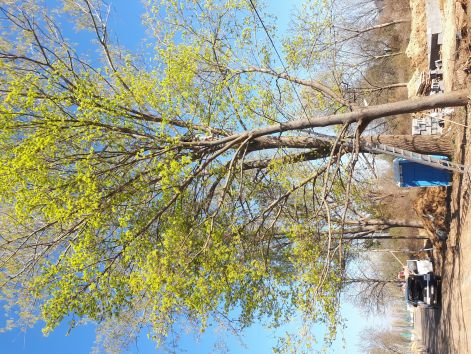20170401_092905.jpg