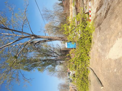 20170401_111724.jpg