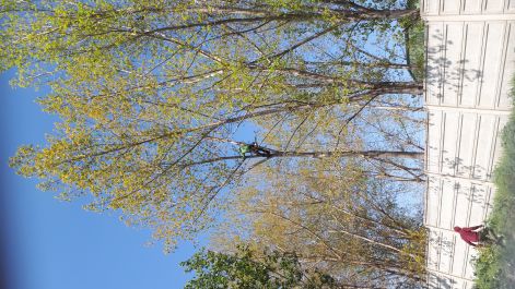 20170421_112213.jpg