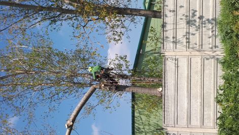 20170421_115923.jpg