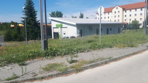 20170610_092516.jpg