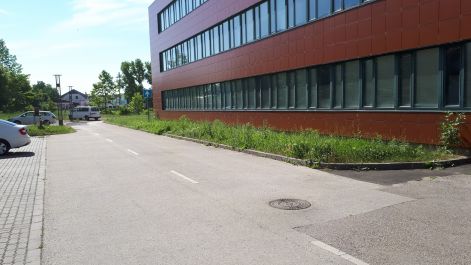 20170610_092548.jpg