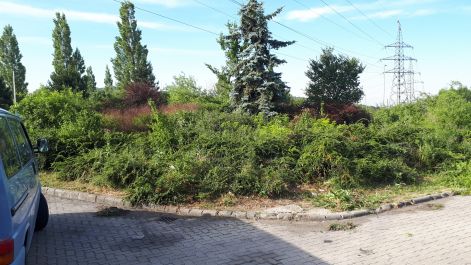 20170614_075953.jpg