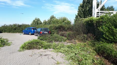 20170614_075958.jpg