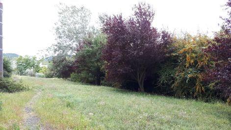 20170904_082801.jpg