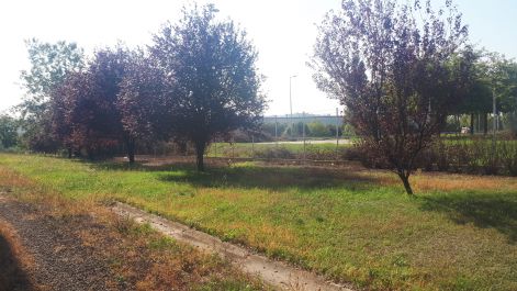 20171002_115233.jpg