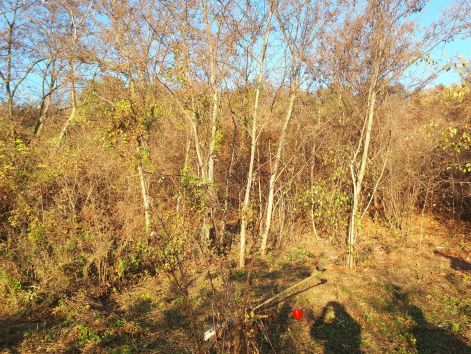 20181114_080052.jpg
