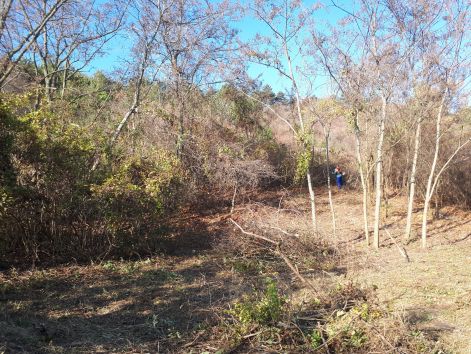 20181114_113003.jpg